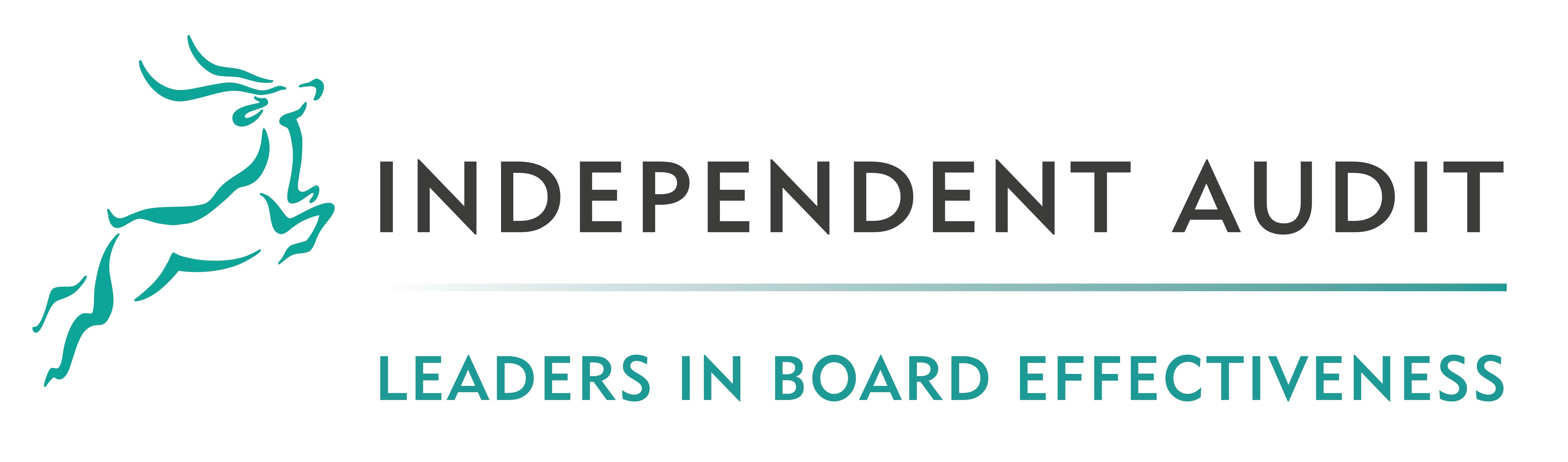 Independent Audit:  Leaders in Board Evaluation